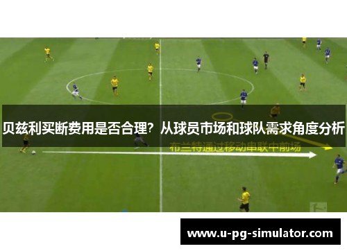 贝兹利买断费用是否合理？从球员市场和球队需求角度分析