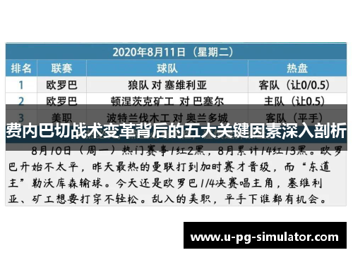 费内巴切战术变革背后的五大关键因素深入剖析