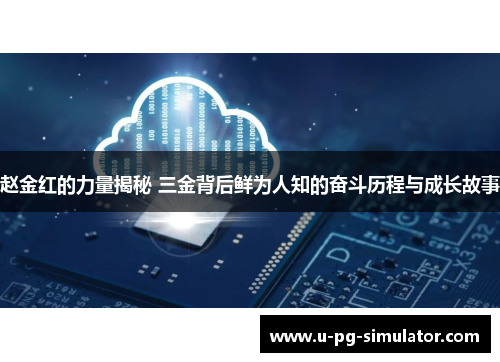 赵金红的力量揭秘 三金背后鲜为人知的奋斗历程与成长故事