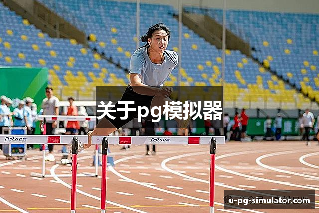 关于pg模拟器